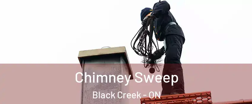  Chimney Sweep Black Creek - ON