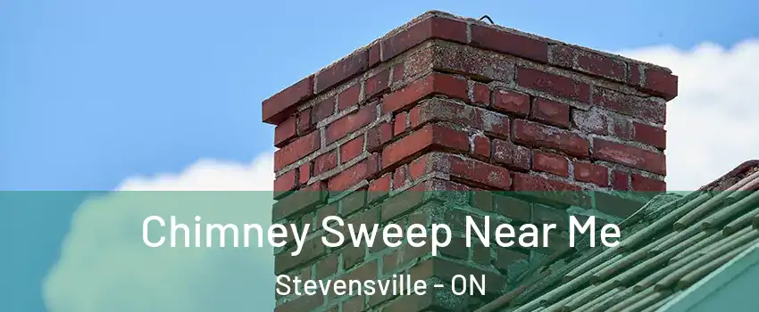  Chimney Sweep Near Me Stevensville - ON