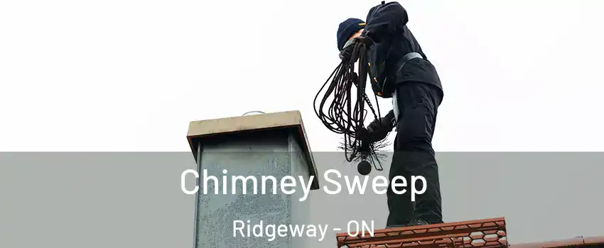  Chimney Sweep Ridgeway - ON