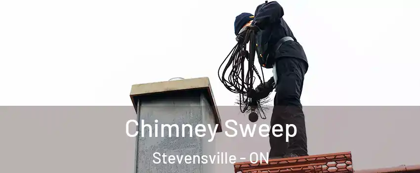  Chimney Sweep Stevensville - ON