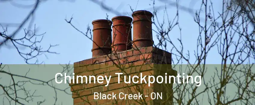  Chimney Tuckpointing Black Creek - ON