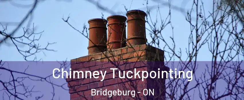  Chimney Tuckpointing Bridgeburg - ON