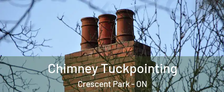  Chimney Tuckpointing Crescent Park - ON