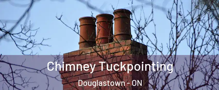  Chimney Tuckpointing Douglastown - ON