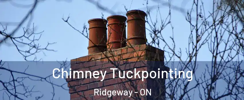  Chimney Tuckpointing Ridgeway - ON