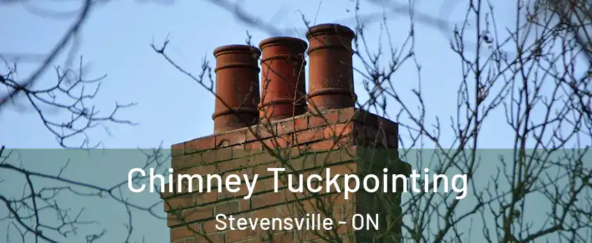  Chimney Tuckpointing Stevensville - ON