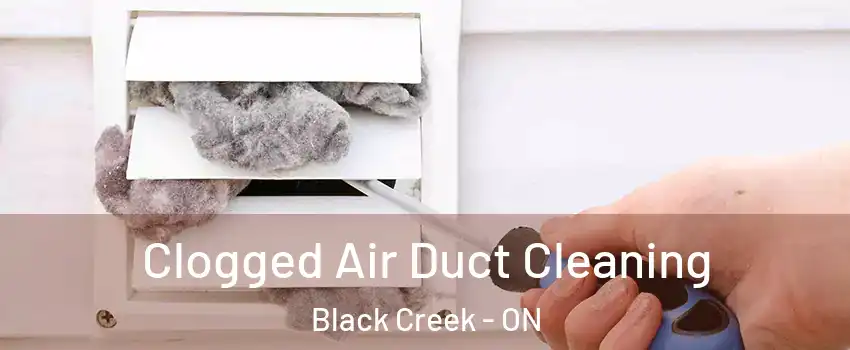  Clogged Air Duct Cleaning Black Creek - ON