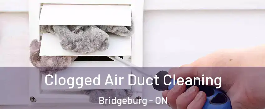  Clogged Air Duct Cleaning Bridgeburg - ON