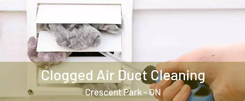  Clogged Air Duct Cleaning Crescent Park - ON