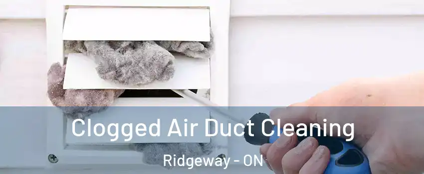  Clogged Air Duct Cleaning Ridgeway - ON