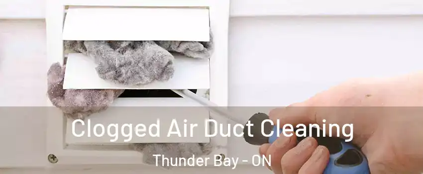  Clogged Air Duct Cleaning Thunder Bay - ON