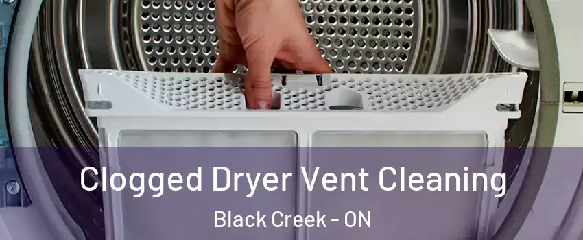  Clogged Dryer Vent Cleaning Black Creek - ON