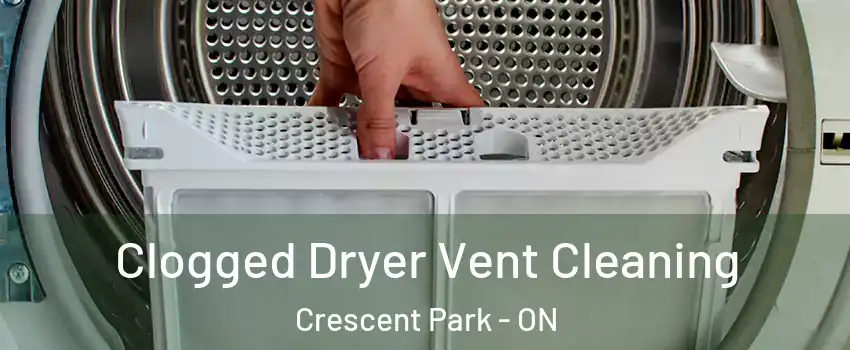  Clogged Dryer Vent Cleaning Crescent Park - ON