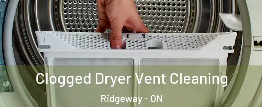  Clogged Dryer Vent Cleaning Ridgeway - ON