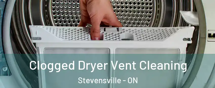  Clogged Dryer Vent Cleaning Stevensville - ON