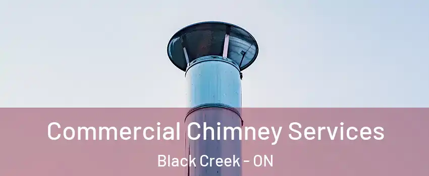  Commercial Chimney Services Black Creek - ON