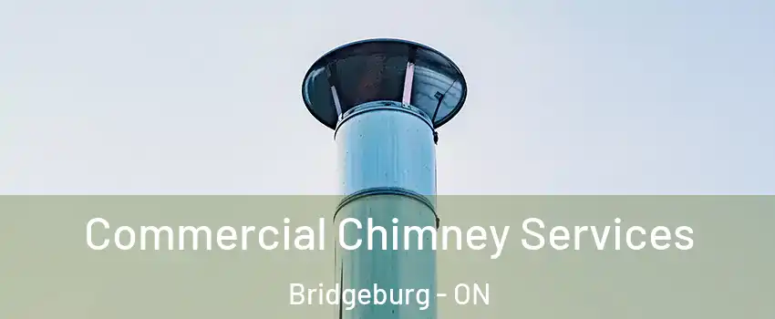  Commercial Chimney Services Bridgeburg - ON