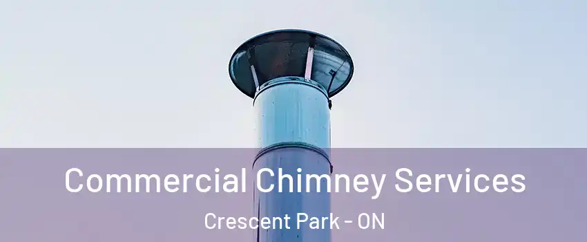  Commercial Chimney Services Crescent Park - ON