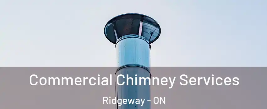  Commercial Chimney Services Ridgeway - ON