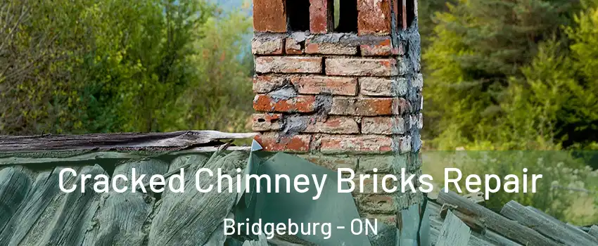 Cracked Chimney Bricks Repair Bridgeburg - ON