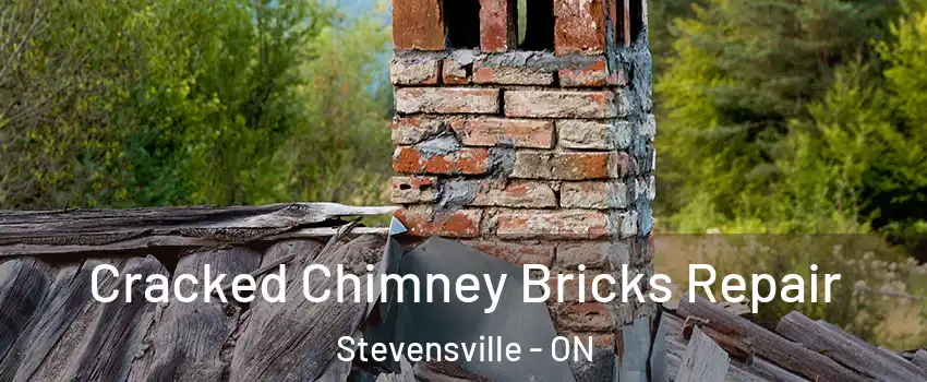  Cracked Chimney Bricks Repair Stevensville - ON