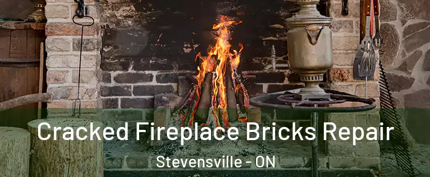  Cracked Fireplace Bricks Repair Stevensville - ON