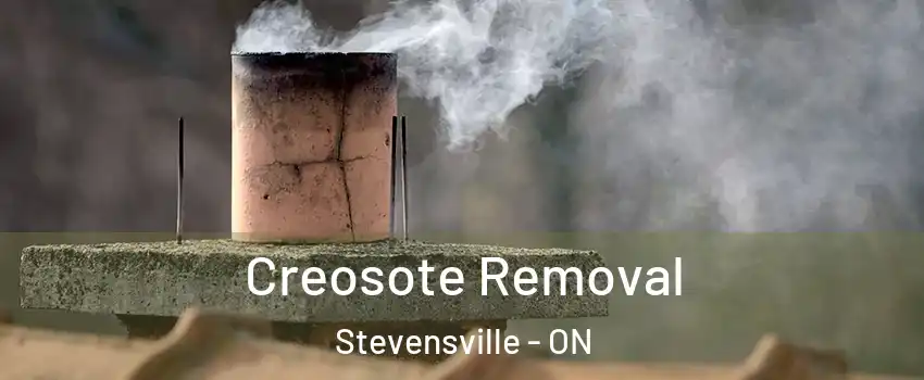  Creosote Removal Stevensville - ON