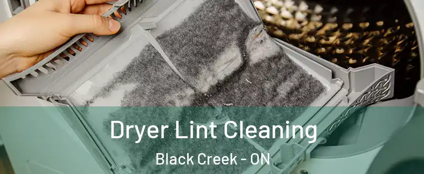  Dryer Lint Cleaning Black Creek - ON