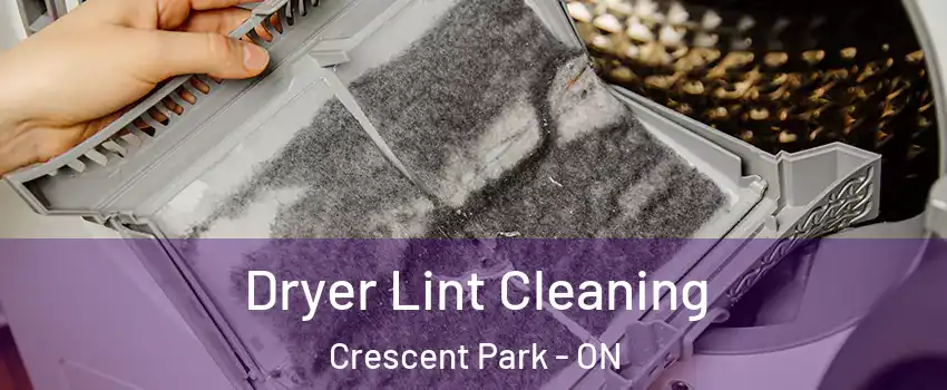  Dryer Lint Cleaning Crescent Park - ON