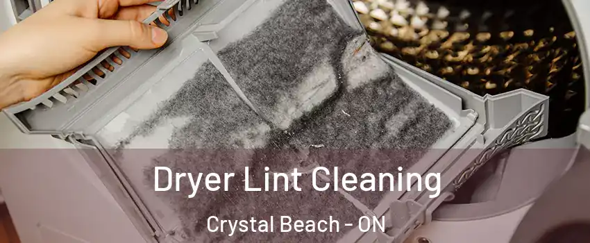  Dryer Lint Cleaning Crystal Beach - ON