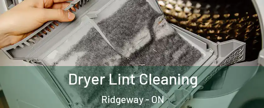  Dryer Lint Cleaning Ridgeway - ON