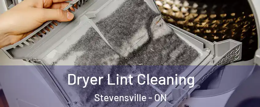  Dryer Lint Cleaning Stevensville - ON