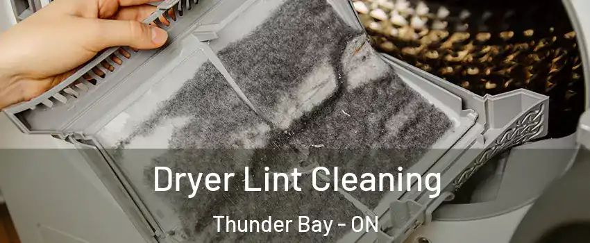  Dryer Lint Cleaning Thunder Bay - ON