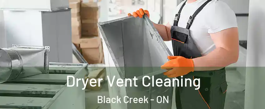  Dryer Vent Cleaning Black Creek - ON