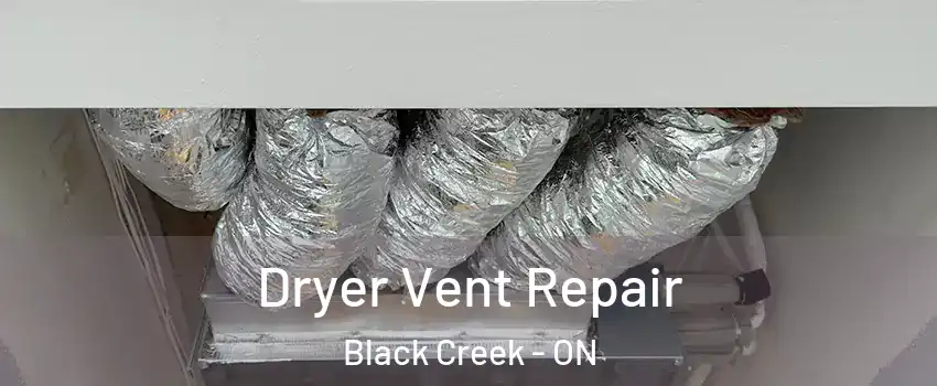  Dryer Vent Repair Black Creek - ON