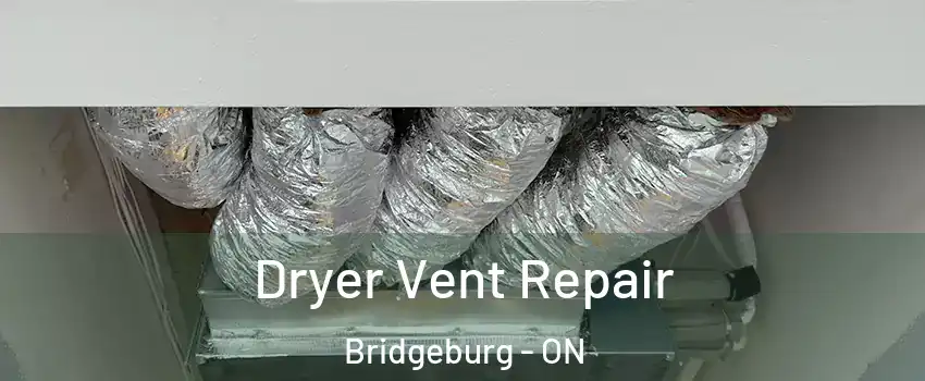  Dryer Vent Repair Bridgeburg - ON