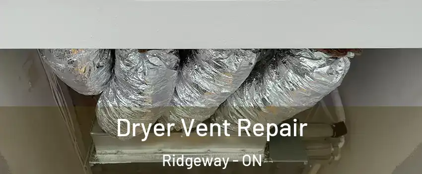  Dryer Vent Repair Ridgeway - ON