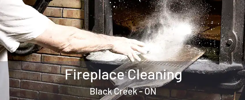  Fireplace Cleaning Black Creek - ON