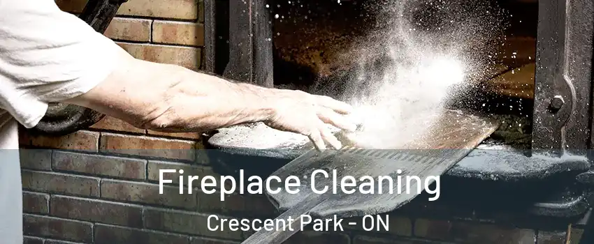  Fireplace Cleaning Crescent Park - ON