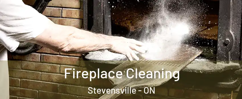  Fireplace Cleaning Stevensville - ON