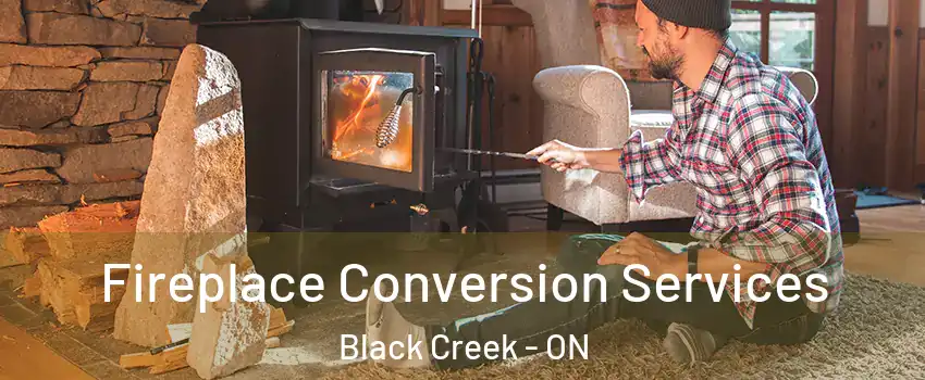  Fireplace Conversion Services Black Creek - ON