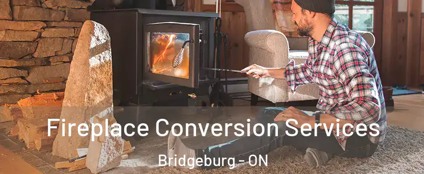  Fireplace Conversion Services Bridgeburg - ON