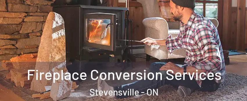  Fireplace Conversion Services Stevensville - ON