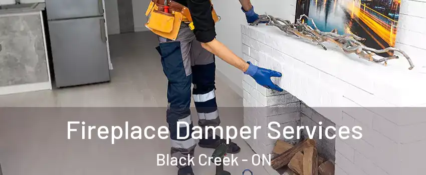  Fireplace Damper Services Black Creek - ON