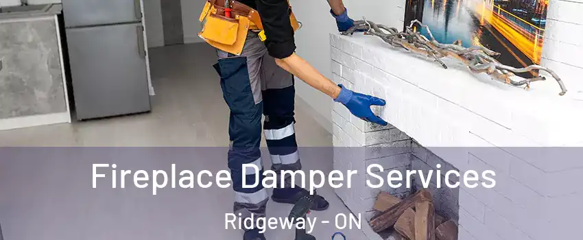  Fireplace Damper Services Ridgeway - ON