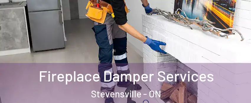  Fireplace Damper Services Stevensville - ON