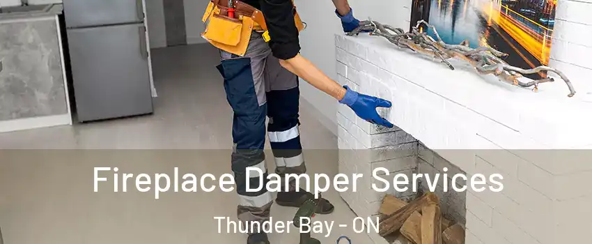  Fireplace Damper Services Thunder Bay - ON