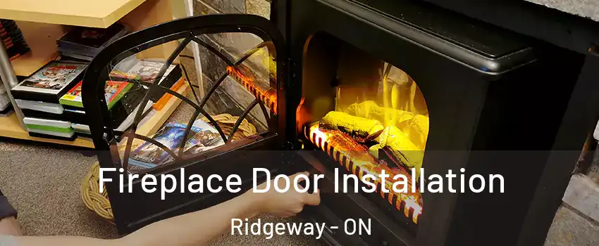  Fireplace Door Installation Ridgeway - ON
