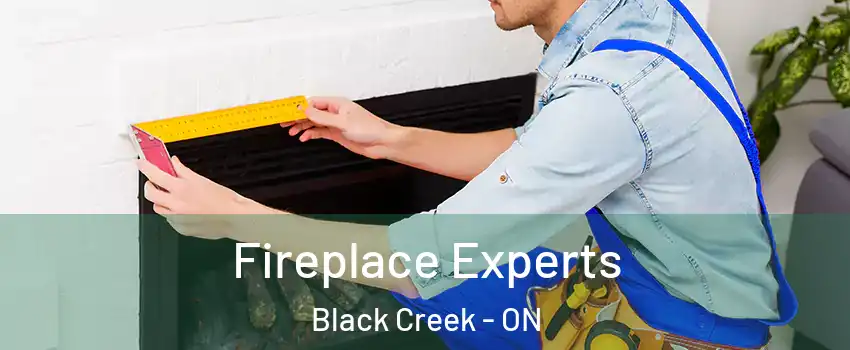  Fireplace Experts Black Creek - ON