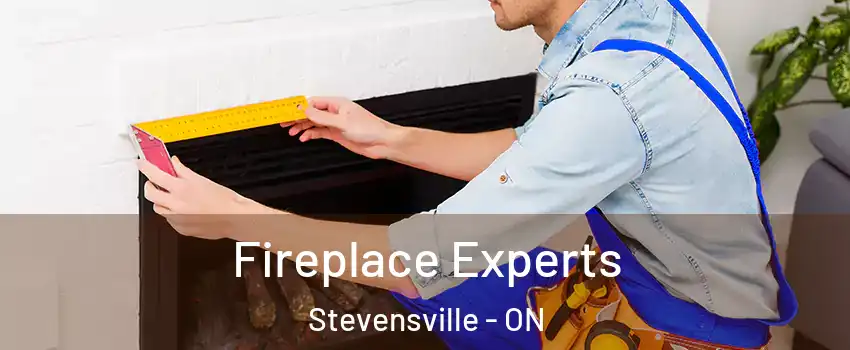  Fireplace Experts Stevensville - ON